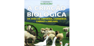 A Criação Biológica de Aves de Capoeira