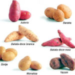 Conheça os diversos tipos de batata