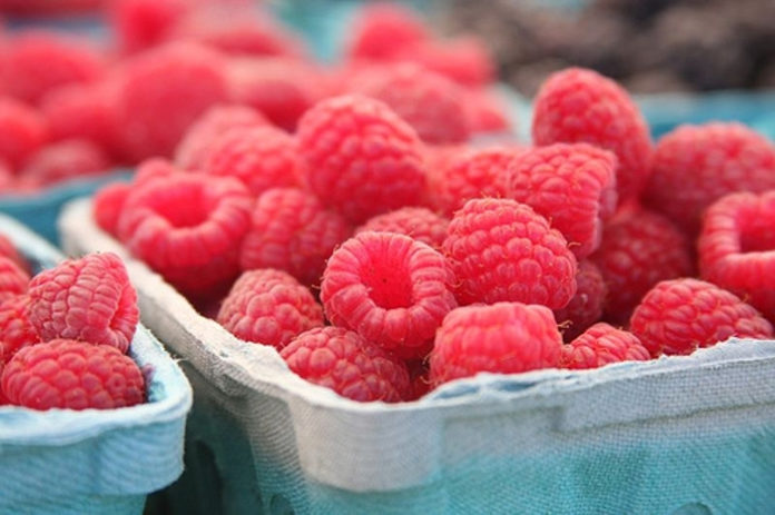 Faça uma dieta saudável porque chegou o verão