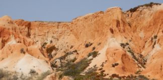 Exposições em Albufeira