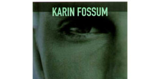 O olhar de um desconhecido de Karin Fossum