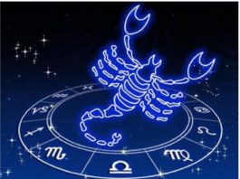 Signo escorpião