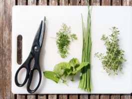 Cebolinho, excelente para condimentar os seus pratos