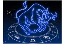 Signo Touro