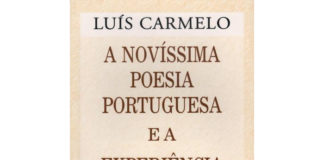A novíssima poesia Portuguesa e a experiência estética contemporânea