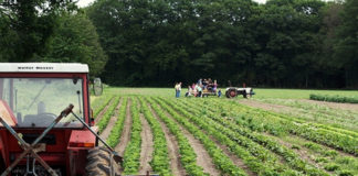 Agricultura biológica