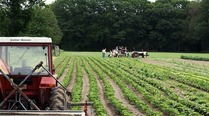 Agricultura biológica