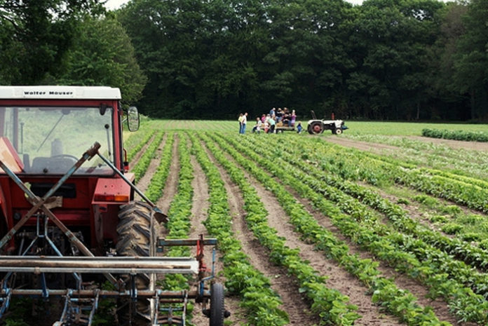 Agricultura biológica