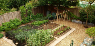 Como ter Uma Horta Bonita Em Casa