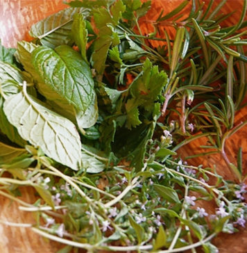 Conheça o sabor das ervas aromáticas