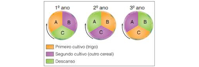 Rotação trienal de culturas