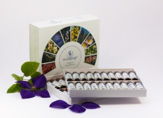 Terapia Floral: os benefícios da terapia com essências florais Terapia floral