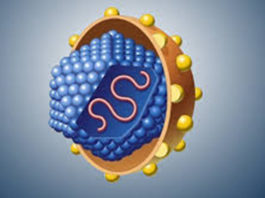 Vírus da hepatite C