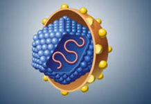 Vírus da hepatite C