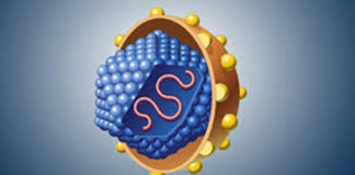 Vírus da hepatite C