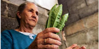 Rezas e benzeduras de proteção