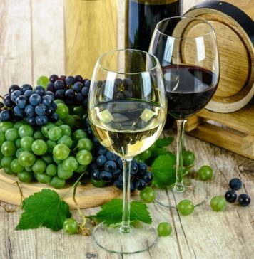 Vinho - a essência do Deus Baco