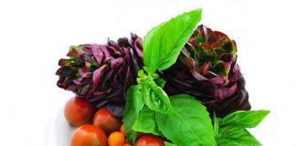 Aumente a ingestão de legumes e hortaliças Aumente a ingestão de legumes e hortaliças