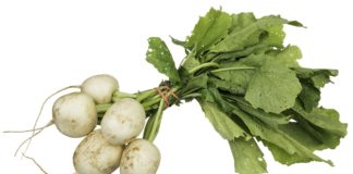 Saiba porque o nabo engrossa sopas e molhos