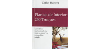 Plantas de Interior 250 Truques
