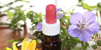 Saiba o que é a Aromaterapia, uma terapia verdadeiramente natural