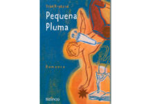 Pequena pluma