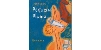 Pequena pluma