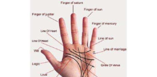 Quirologia: a vida na palma da mão