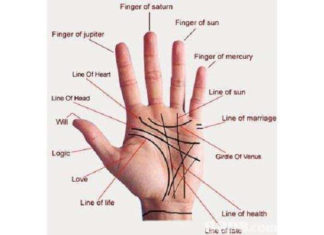 Quirologia: a vida na palma da mão