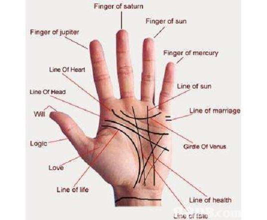 Quirologia: a vida na palma da mão
