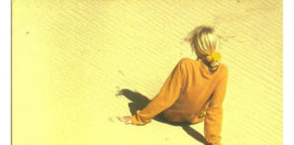 A namorada dos meus sonhos de Mike Gayle