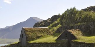 Como estimular os sentidos através do seu jardim