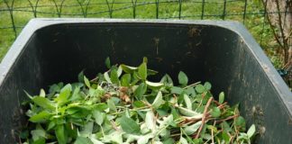 Dicas para uma boa compostagem