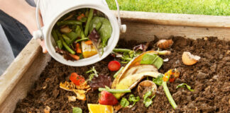 O que pode colocar na pilha de compostagem