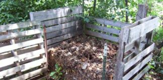 Compostagem, problemas no compostor