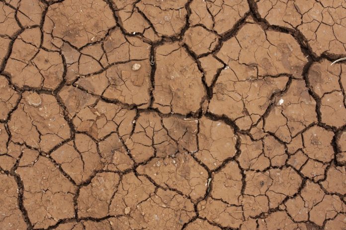 Cuidar das suas plantas, também é conhecer a terra argilosa