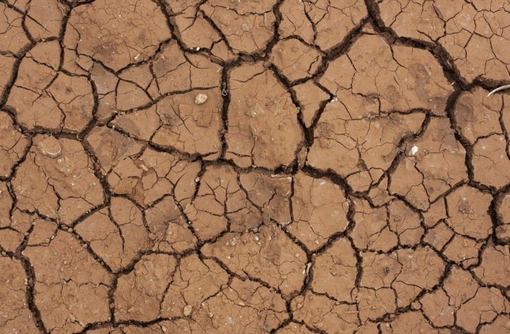 Cuidar das suas plantas, também é conhecer a terra argilosa