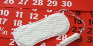 Conheça as fases do ciclo menstrual