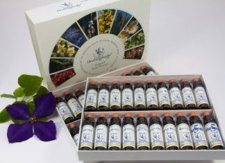 Florais de Bach – uma terapia emocional Florais de Bach