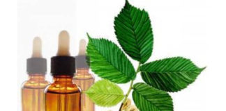 Florais de Bach, a terapia emocional para doenças físicas