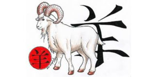 Horóscopo Chinês - ano da cabra