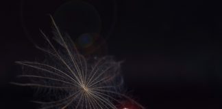 Medicamento para o cancro da mama