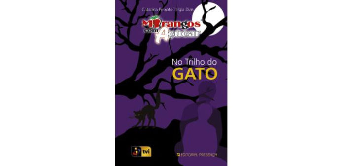 No trilho do gato