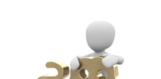 Signos compatíveis com Leão