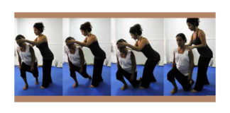 Técnica de Alexander