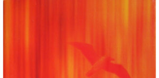 Uma viagem espiritual de Billy Mills e Nicholas Sparks