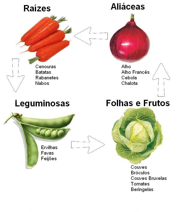 Vantagens da rotação de culturas - quadrienal