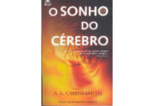 O Sonho do Cérebro