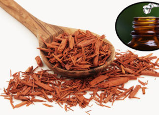 Óleo essencial de Sândalo, benefícios e aplicações Óleo essencial de Sândalo