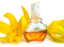 Óleo essencial de Ylang Ylang